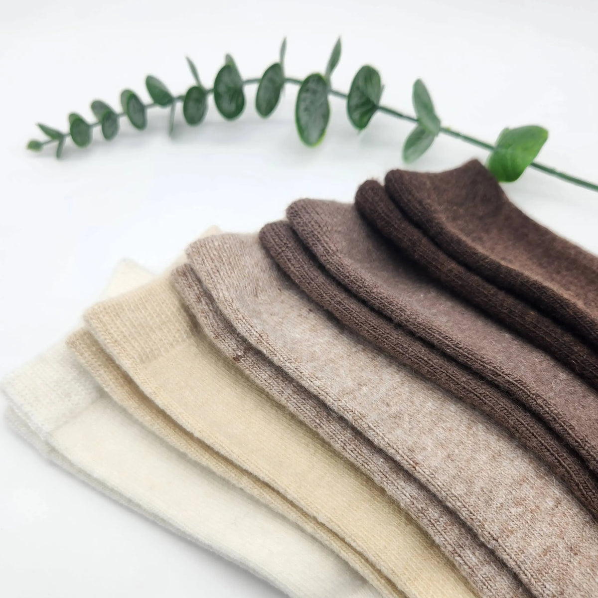 Cashmere Socks Comfortarians